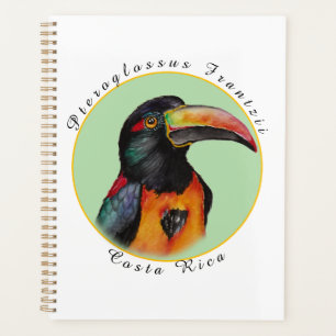 Watercolor toucan planner