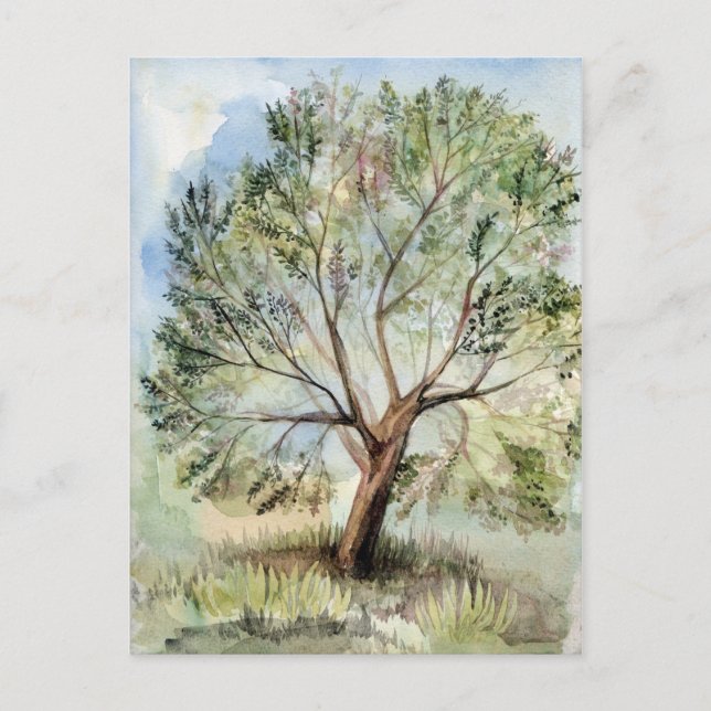 Watercolor tree postcard (Front)