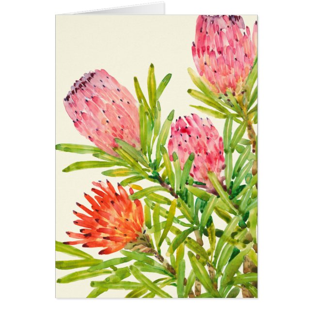 Watercolor Tropical Flowers (Front)