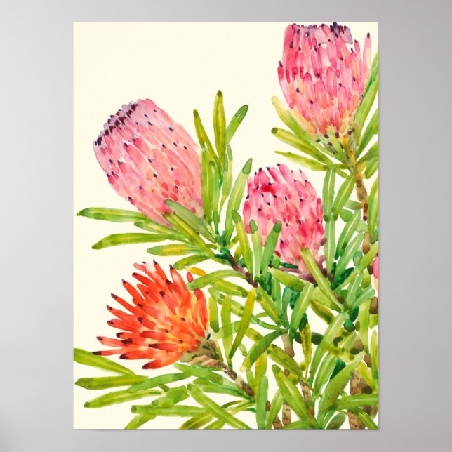 Watercolor Tropical Flowers Poster (Front)