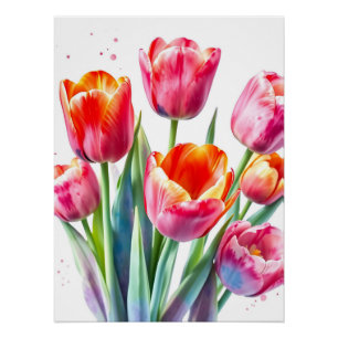 Watercolor Tulips with White Edges Poster