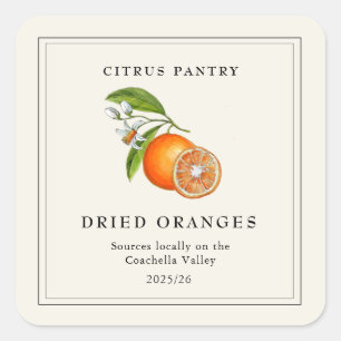 Watercolor Vintage Dried Orange slices Square Sticker