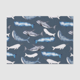 Watercolor Whales Tissue Paper