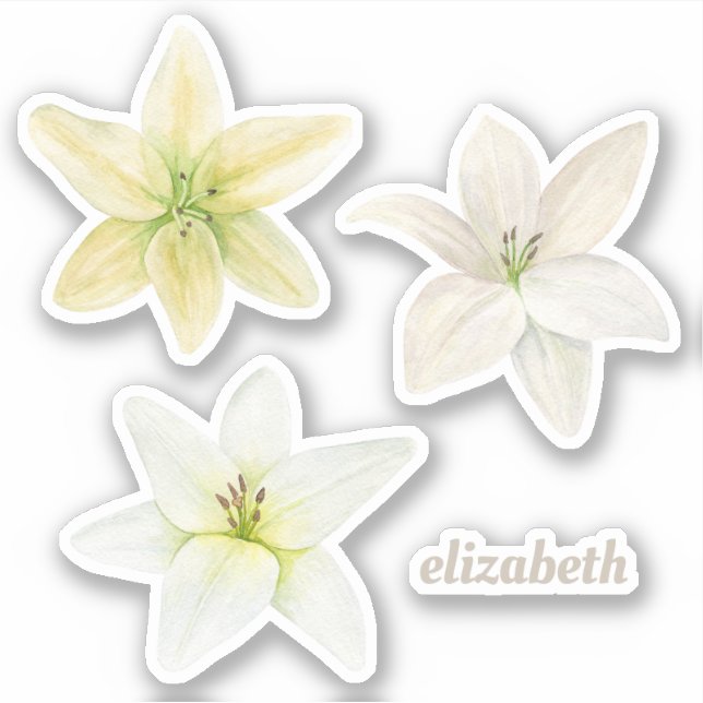 Watercolor white lily. Garden flowers. Floral (Front)