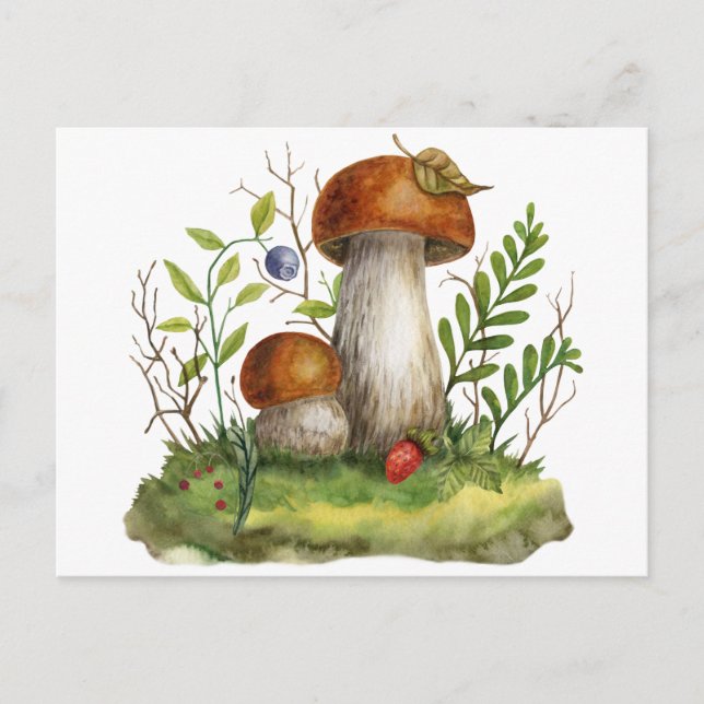Watercolor Wild Forest Mushrooms and Berries Postcard (Front)