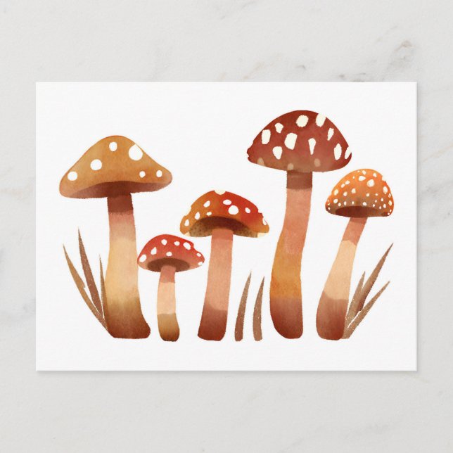 Watercolor Wild Forest Mushrooms  Postcard (Front)