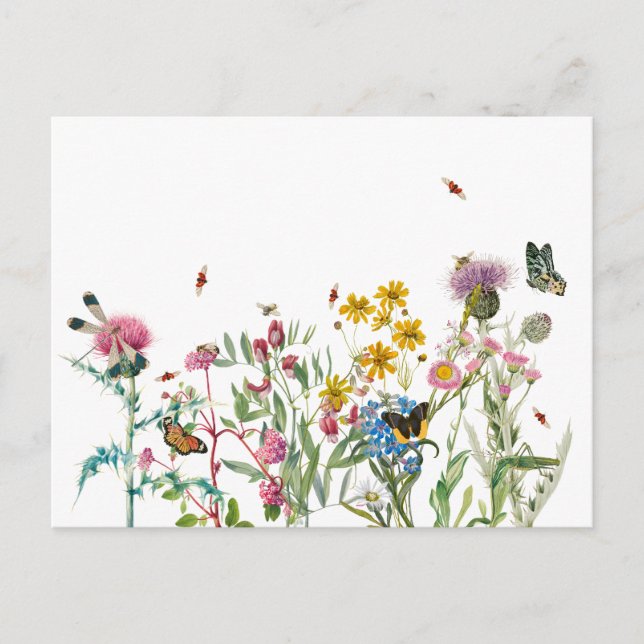 Watercolor Wildflower Insects Floral Spring Garden Holiday Postcard (Front)