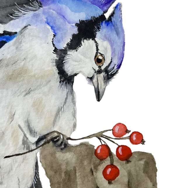 Watercolor woodland bird blue jay 710 ml water bottle (Creator Uploaded)