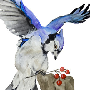 Watercolor woodland bird blue jay iPhone 11 pro case