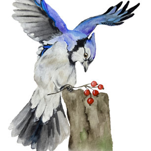Watercolor woodland bird blue jay ceramic ornament