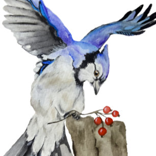 Watercolor woodland bird blue jay throw pillow