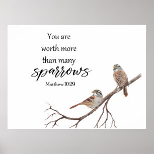 Watercolor Worth More Than Many Sparrows Print