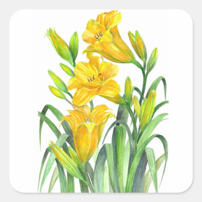 Watercolor Yellow Day Lilies Floral Illustration Square Sticker (Front)