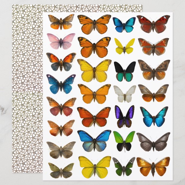 WatercolorButterfly set for fussy cut (Front/Back)