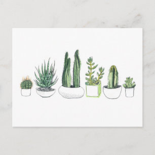 Watercolour Cacti & Succulents Postcard
