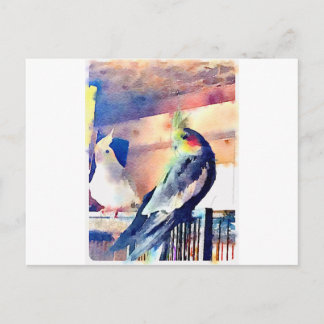 Watercolour Cockatiel Postcard