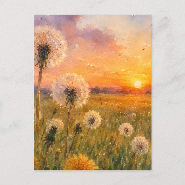 Watercolour Dandelions at Sunset Meadow Landscape  Postcard (Front)