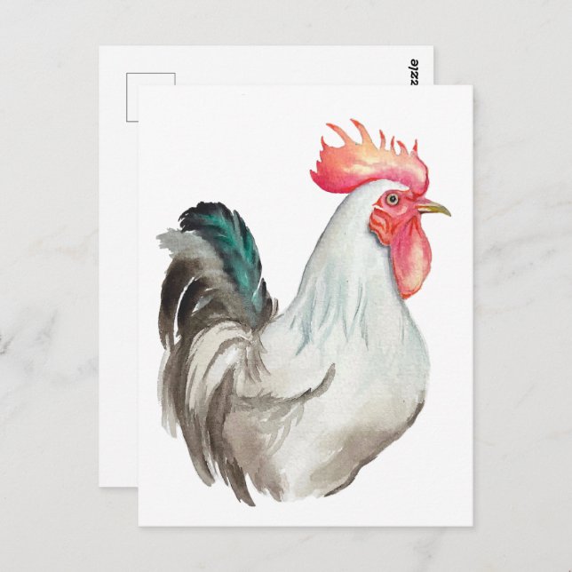 Watercolour hand drawing of a Rooster Postcard (Front/Back)