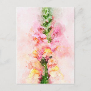 Watercolour of a snapdragon flower postcard