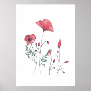Watercolour poppy flowers poster