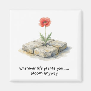 Watercolour Poppy Wherever Life Plants You  Magnet
