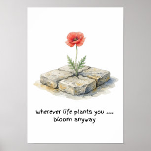 Watercolour Poppy Wherever Life Plants You  Poster