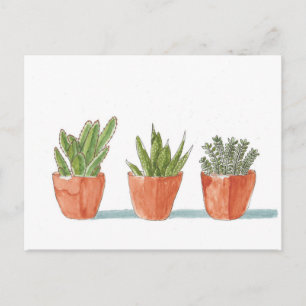 Watercolour Succulent Cactus Plant Postcard