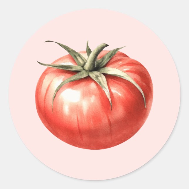 Watercolour tomato illustration classic round sticker (Front)
