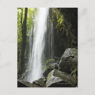 Waterfal, in rainforest, Dominica, Emerald Pool Postcard