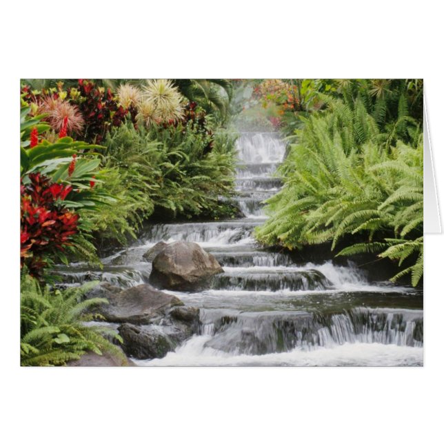 Waterfall (Front Horizontal)