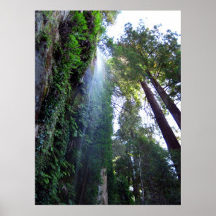 Waterfall and Cliff Poster