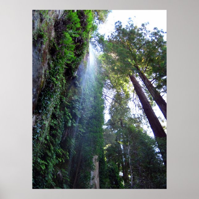 Waterfall and Cliff Poster (Front)