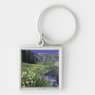 Waterfall and wildflowers in alpine meadow, 2 keychain