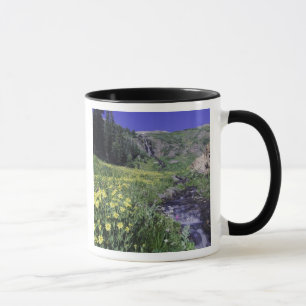 Waterfall and wildflowers in alpine meadow, 2 mug
