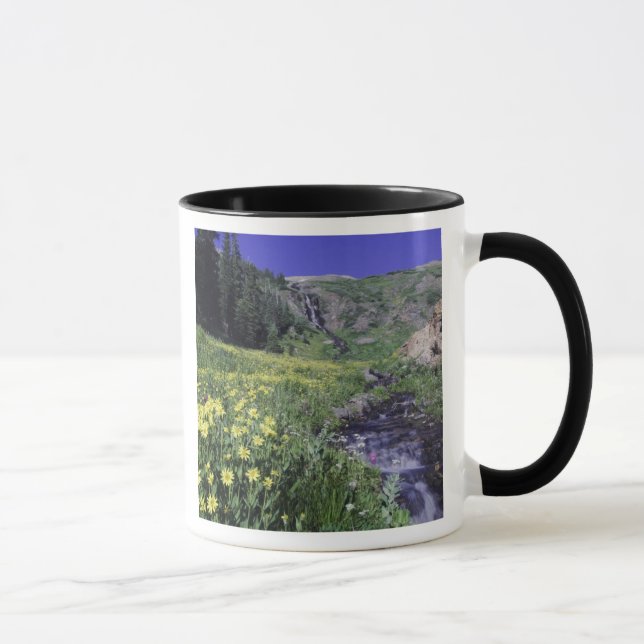 Waterfall and wildflowers in alpine meadow, 2 mug (Right)