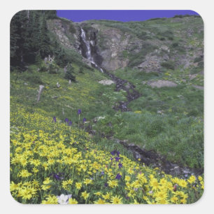 Waterfall and wildflowers in alpine meadow, square sticker