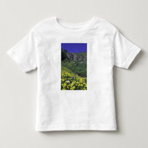 Waterfall and wildflowers in alpine meadow, toddler t-shirt