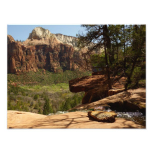 Waterfall at Emerald Pools in Zion National Park Photo Print