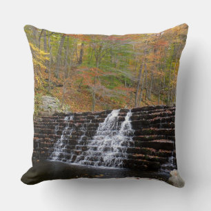 Waterfall at Laurel Hill State Park I Throw Pillow
