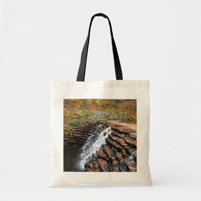 Waterfall at Laurel Hill State Park II Tote Bag (Front)