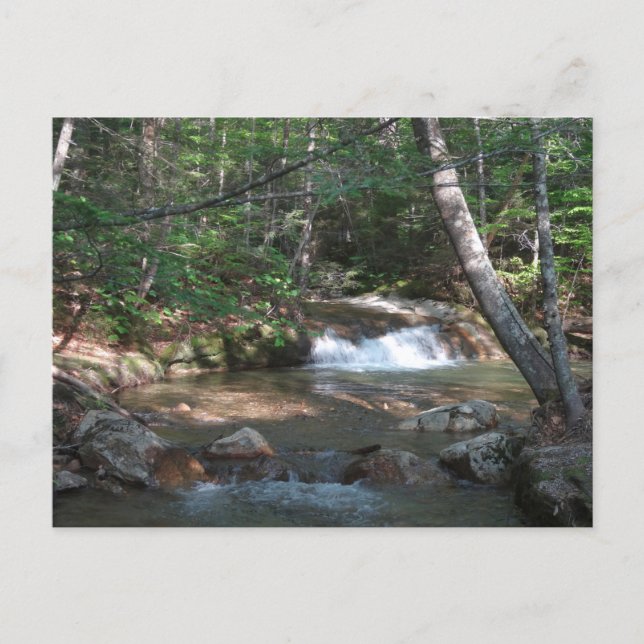 Waterfall at Pemigewasset River II Postcard (Front)