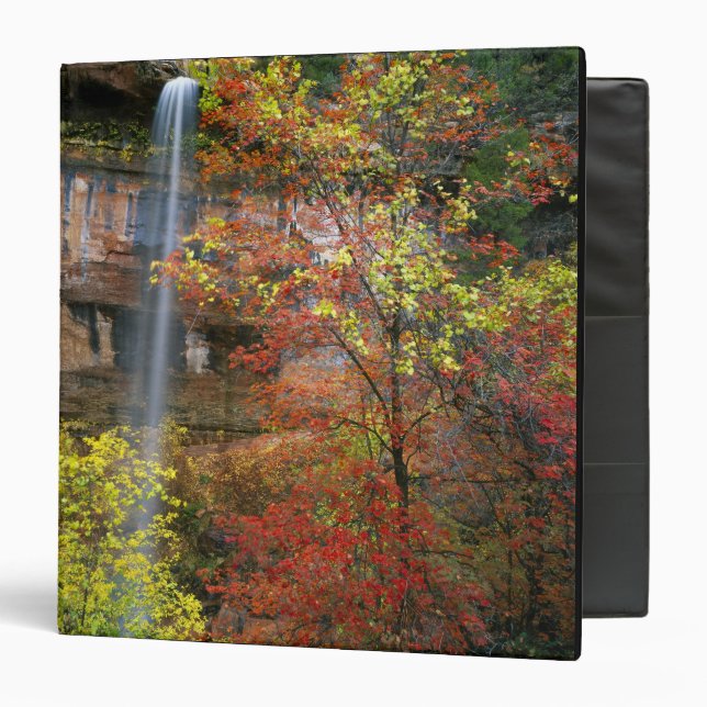Waterfall, bigtooth maple Acer Binder (Front/Inside)