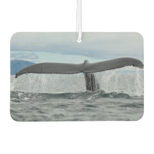 Waterfall Car Air Freshener