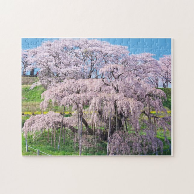 waterfall cherry blossom tree jigsaw puzzle (Horizontal)