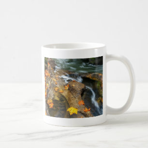 Waterfall Coffee Mug