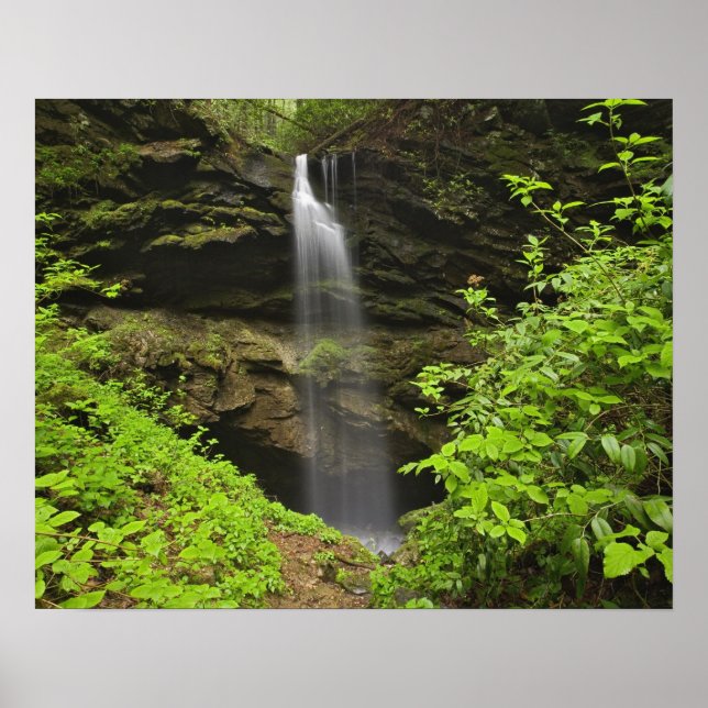 Waterfall falling into sink, Whiteoak Sink, Poster (Front)