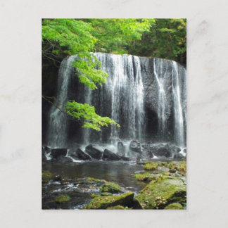 Waterfall in Aizu Postcard