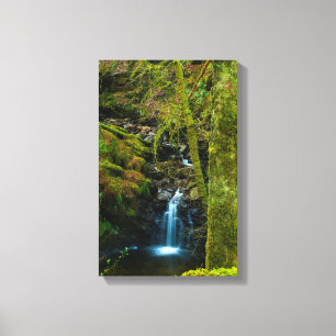 Waterfall in Argyll, Scotland Canvas print