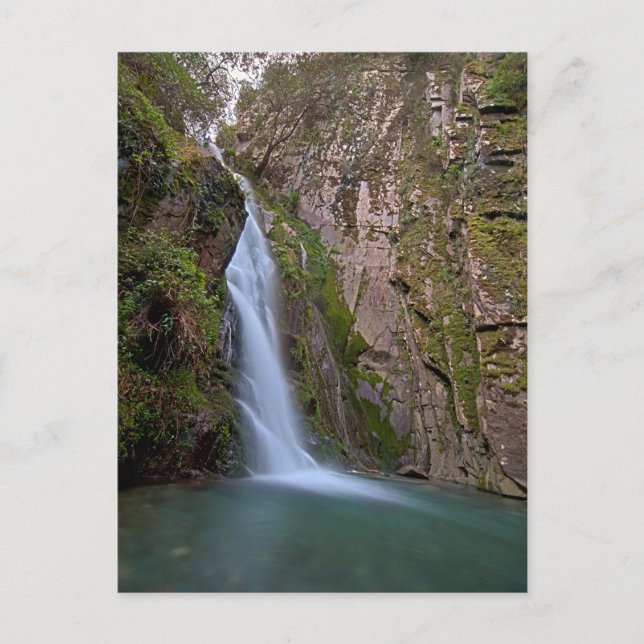 Waterfall in deep forest postcard (Front)