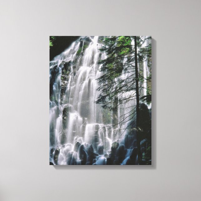 Waterfall in forest, Oregon Canvas Print (Front)